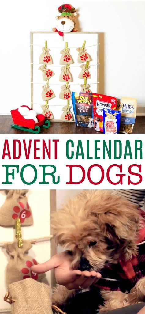 November Diy, Dog Advent Calendar, Dogs Diy Projects, Kid Projects, Advent Calenders, Diy Advent Calendar, Dog Ideas, Dog Crafts, Easy Christmas Crafts