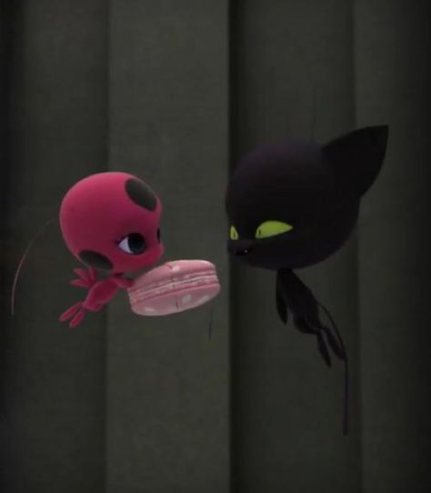 Plagg And Tiki, Miraculous Ladybug Plagg, Tikki Miraculous, Tikki And Plagg, Ladybug Und Cat Noir, Ladybugs Movie, Tikki Y Plagg, Complicated Love, Miraculous Ladybug Oc