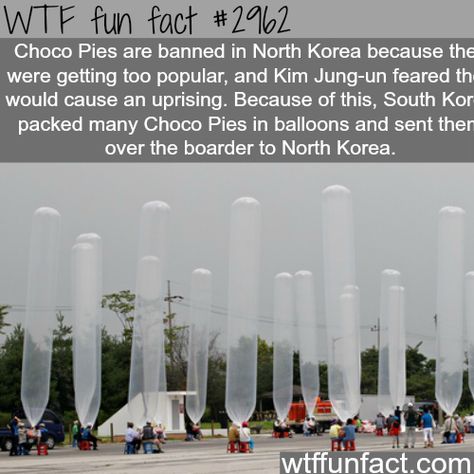 North Korea Facts, Fun Food Facts, Funniest Pictures Ever, Facts Funny, 1000 Life Hacks, Fun Questions To Ask, Wow Video, Surprising Facts, Food Facts