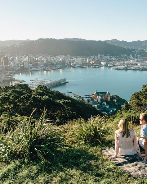 Wellington New Zealand Aesthetic, Wellington Aesthetic, Moving Inspiration, New Zealand Wellington, Photography Moodboard, New Zealand Cities, 2023 Aesthetic, Dancing In The Kitchen, Living In New Zealand