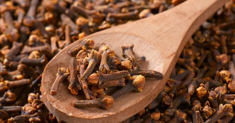 5 Amazing Benefits of Drinking Clove Water for Skin | Marham Clove Plant, Dried Cloves, Cloves Benefits, Intestinal Parasites, Parasite Cleanse, Dried Herbs, Improve Digestion, Drying Herbs, Herbal Tea