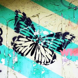 Butterfly Graffiti, Stencil Street Art, Street Art Photography, Black Spray Paint, Butterfly Drawing, Amsterdam Netherlands, Stencil Art, Butterfly Art, Spray Painting