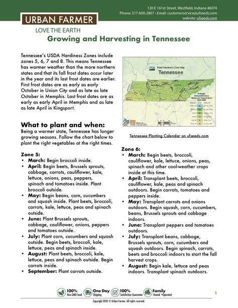 This guide provides key steps and information for everything you need to know about growing and harvesting in Tennessee. https://files.ufseeds.com/uploads/Tennessee.pdf Tennessee Planting Guide, Homesteading In Tennessee, Gardening In Tennessee, Tennessee Homestead, Tennessee Gardening, When To Plant Garden, Tennessee Garden, When To Transplant Seedlings, Vegetable Planting Calendar