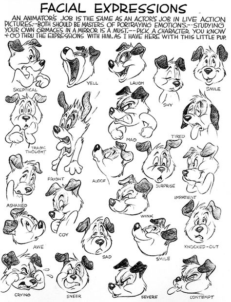 Preston Blair cute expressions -- LEARN THIS Dog Facial Expressions Drawing, Animal Facial Expressions, Dog Facial Expressions, Preston Blair, Facial Expressions Drawing, Cartoon Expression, Character Design Cartoon, Cartoon Style Drawing, Learn Drawing