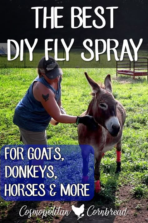 Home Made Fly Spray, Diy Cow Fly Spray, Fly Spray For Cattle, Diy Fly Spray For Horses, Natural Fly Spray For Horses, Homemade Fly Spray For Horses, Fly Spray For Home, Horse Fly Spray Recipe, Donkey Barn Ideas