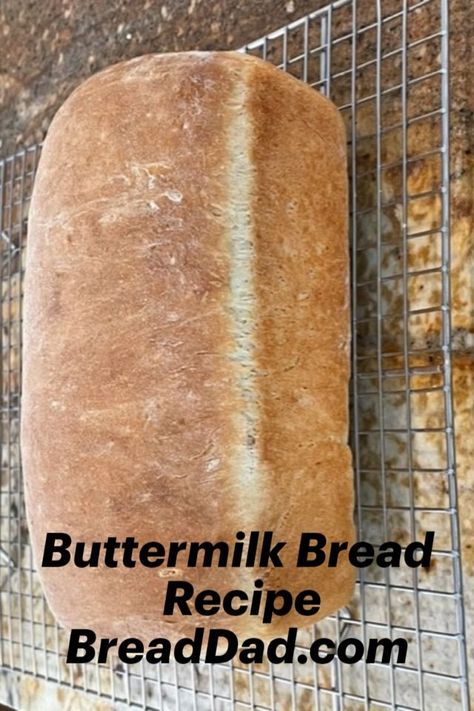 Buttermilk bread on wire cooling rack Stand Mixer Recipes Breads, Soft White Bread Recipe, Honey Bread Recipe, Soft White Bread, Bread Bread Machine, Oatmeal Bread Recipe, Soft Bread Recipe, Easy Bread Machine Recipes, Buttermilk Bread