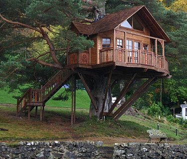 50 Stunning Homes Built Into Nature- I would love this.. and so would Angel.. unless I hurt my ankle or knee again.. Beautiful Tree Houses, Cool Tree Houses, Outdoor Buildings, Tree House Designs, Machine Video, Large Tree, Cabin In The Woods, Forest House, House Built