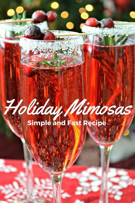 *disclaimer - this  post is part of the Evite Influencer Program I don't know where November went, and now we're almost through December.  It's crazy how time can just get away from you, isn't it!  Every year we try to have a friend holiday party, which takes me weeks of planning and prepping.  This year… Holiday Mimosa, Cranberry Mimosas, Cranberry Mimosa, Festive Holiday Drinks, Christmas Drinks Alcohol Recipes, Christmas Drinks Alcohol, Mimosa Recipe, Christmas Punch, Drinks Alcohol