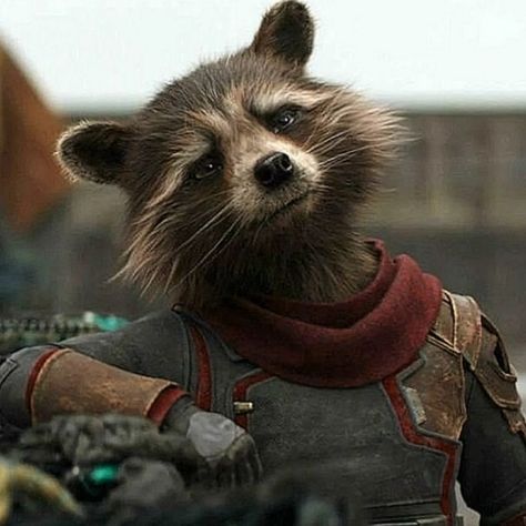 Rocket Raccoon Icon, Rocket Raccoon, Rocket