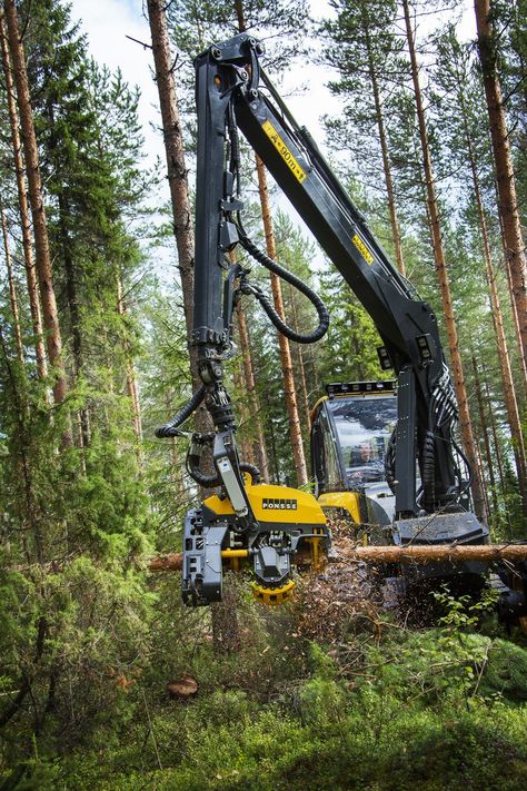 Ponsse Ergo 8-wheeler: grabs trees, fells them, strips them and sections them in seconds Cosmic Warrior, Logging Industry, Logging Equipment, Heavy Construction Equipment, Forestry Equipment, Terrain Vehicle, All-terrain Vehicles, Types Of Vehicle, Heavy Machinery