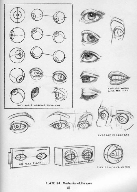 Sculpting Eyes Drawing The Human Body Drawings, Andrew Loomis, Art - Eye Anatomy Drawing Eye Structure, Character Design Tips, Eye Study, Eye Anatomy, Andrew Loomis, Realistic Eye Drawing, Eye Drawings, Human Body Drawing, Illustration Fantasy