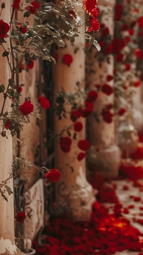 Red Flowers Aesthetic Wallpaper, Red Royalcore, Red Roses Wallpaper Aesthetic, Red Romantic Aesthetic, Red Victorian Aesthetic, Red Tumblr Aesthetic, Rose Petals Aesthetic, Red Princess Aesthetic, Soft Red Aesthetic Wallpaper