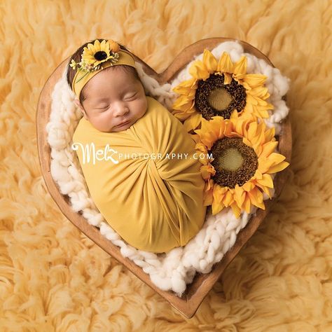 Y’all know I love sunflowers 🌻 and who better than Salina 😍 look at that froggy, 5 weeks old preemie 💕 #melzphotography #melznewborns… Newborn Wrapping, Fall Newborn, Fall Baby Pictures, Diy Newborn Photography, Baby Pictures Newborn, Newborn Baby Photoshoot, Newborn Pics, Baby Pic, Baby Poses