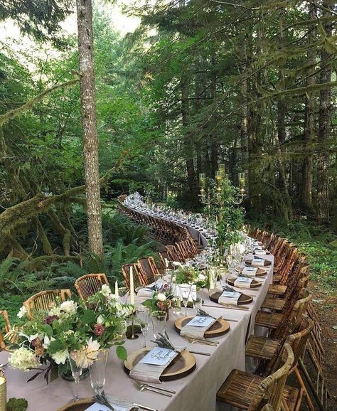 Green Wedding Shoes / Jen on Instagram: “Magical dinner vibes from this forest wedding 💫🌲🍽 Who else would live to have dinner here?!? 🙋🏻‍♀️🙋🏻‍♀️ . . @wonderstruckeventdesign…” Deco Champetre, Reception Dinner, Fall Table Decor, Table Set Up, Long Table, Magical Wedding, Green Wedding Shoes, Outdoor Wedding Venues, Forest Wedding