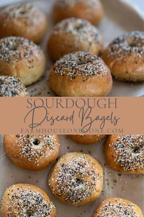 Sourdough Discard Bagels, Discard Bagels, Farmhouse On Boone, Recipe Using Sourdough Starter, Sourdough Bagels, Bagel Toppings, Whole Wheat Sourdough, Sourdough Starter Discard Recipe, Easy Sourdough