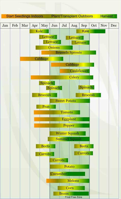 Zone 5 Gardening, Vegetable Planting Calendar, Seedlings Indoors, When To Plant Vegetables, Tattoo Plant, Planting Calendar, Gardening Zones, Garden Plots, Garden Calendar