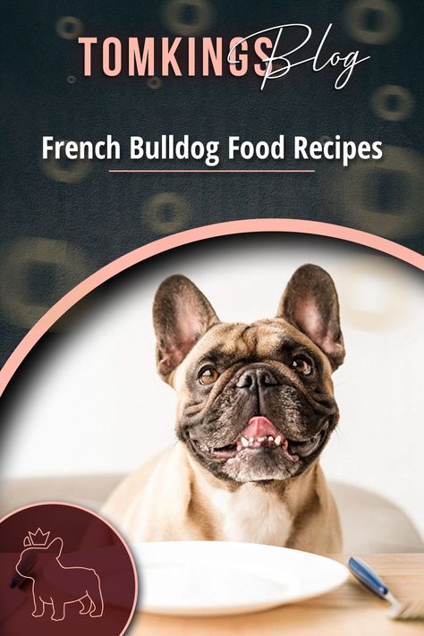 Raw Diet For French Bulldog, Frenchie Dog Food Recipe, Homemade Frenchie Dog Food, French Bulldog Food Recipes Homemade Dog, Frenchie Food Recipe, Homemade Dog Food For French Bulldogs, French Bulldog Food Recipes, Allergy Home Remedies, Bulldog Recipe