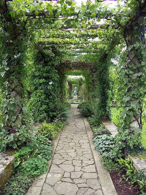 Want these english ivy vines on a pergola, archway, etc.  i've got so much of this stuff and it grows/spreads like crazy...need more places like this for it...or for some of you to come over for some clippings :) Pergola Walkway, Small Pergola, Garden Vines, Stone Walkway, Garden Arbor, Backyard Pergola, Magic Garden, Covered Pergola, Stone Path