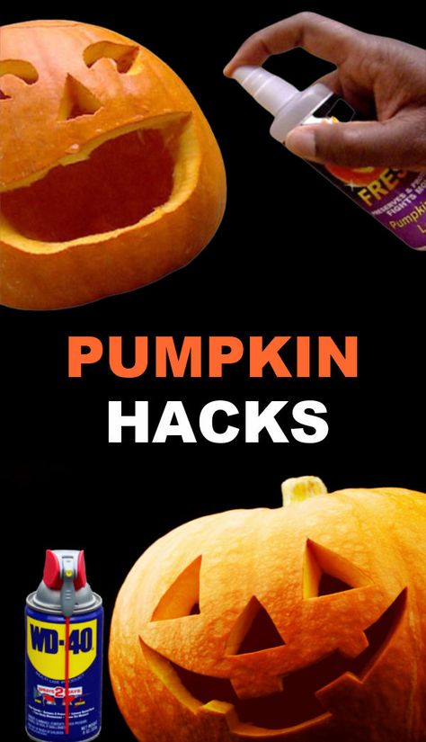 Tips & Tricks to preserve carved pumpkins and prevent rotting jack-o-lanterns #halloween #pumpkinhacks #pumpkintipscarving #jackolanternpreservationhacks #growingajeweledrose Preserve Carved Pumpkin, Pumpkin Painting Ideas Easy, Disney Pumpkin Stencils, Cute Pumpkin Painting Ideas, Easy Pumpkin Painting, Cute Pumpkin Painting, Preserving Pumpkins, Pumpkin Carving Tips, Pumpkin Delight