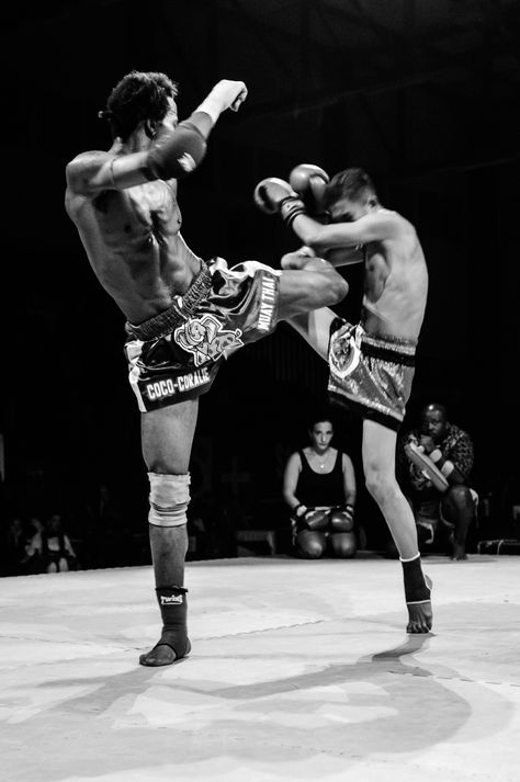 Thai Boxing Muay Thai Workouts, Martial Arts Photography, Culture Of Thailand, Muay Thai Martial Arts, Thai Box, Muay Thai Fighter, Sports Article, Thai Boxing, Sports Hero