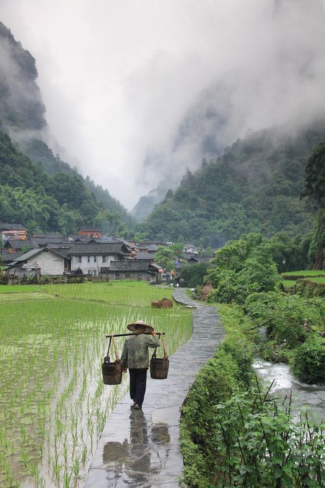 Hunan China, Rice Field, Rice Fields, Guilin, Halong Bay, Chongqing, China Travel, Bhutan, Alam Yang Indah