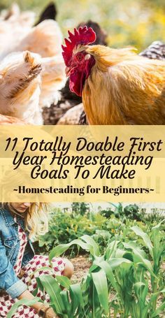 Homestead Projects, Homestead Lifestyle, Homesteading Tips, Raising Chicken, Hobby Farming, Land Ownership, Survival Ideas, Homestead Life, Chicken Keeping