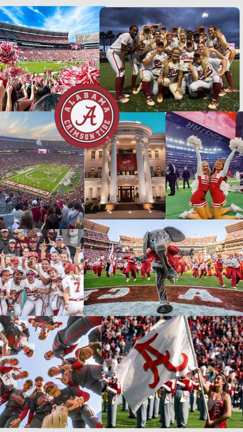 #alabama #alabamauniversity #alabamacheer #softball #college #collegeaesthetic Alabama Aesthetic, Alabama Vs Auburn, Alabama Softball, Alabama Wallpaper, Alabama College, Alabama Crimson Tide Football, Crimson Tide Football, College Aesthetic, Alabama Roll Tide