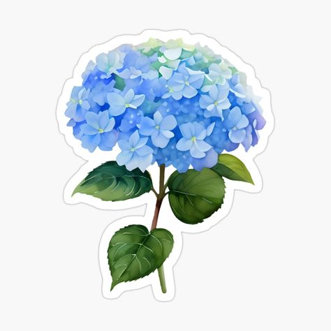 Get my art printed on awesome products. Support me at Redbubble #RBandME: https://www.redbubble.com/i/sticker/Blue-Hydrangea-flower-watercolor-by-SoHaeYoung/155710856.EJUG5?asc=u Hydrangea Sticker, Watercolour Garden, Blue Stickers, Hydrangea Landscaping, Senior Jackets, Blue Hydrangea Flowers, Sticker Design Inspiration, Wallpaper Notebook, Baby Boy Scrapbook