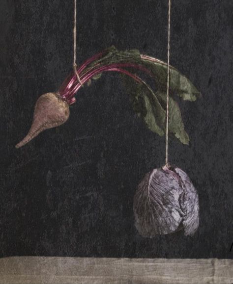 Nathaniel Roe, Hung Like Juan Sanchez Cotan, 2011, Photograph Juan Sanchez Cotan, Hans Baldung Grien, Screen Printing Inspiration, Funny Family Photos, Botanical Photography, Spanish Painters, Still Life Art, Photo Projects, Old Master