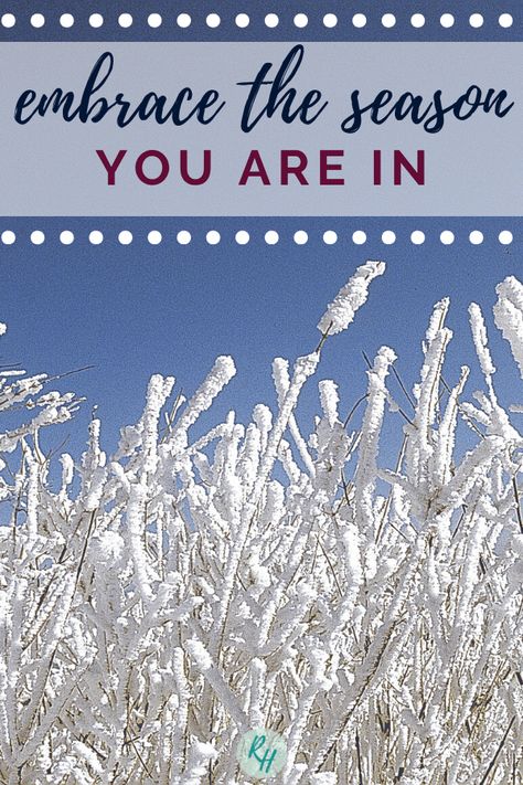 Embrace The Season You Are In, Living In Our Season, Peace Devotional, Harvest Ideas, Romans 15 5, Womens Ministry Events, Gratitude Board, Titus 2, Season Quotes