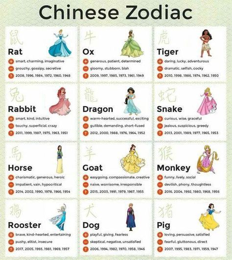 Ancient Zodiac, Chinese Zodiac Rat, Chinese Numerology, Chinese Tiger, Zodiac Meanings, Aquarius Life, Zodiac Signs Chart, Best Career, Zodiac Years