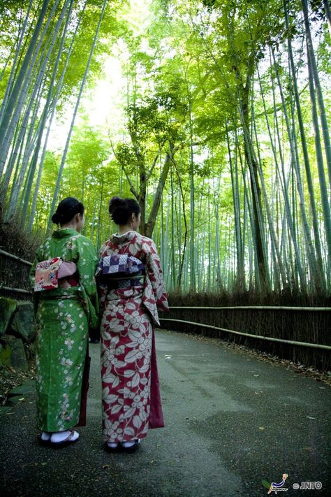 Japanese girls dressed in kimono admiring Arashiyama bamboo forest. Arashiyama Bamboo Forest, Japanese Dress, Bamboo Forest, Traditional Japanese, Kimonos, Japanese Traditional, Cool Places To Visit, Kyoto, The Good Place