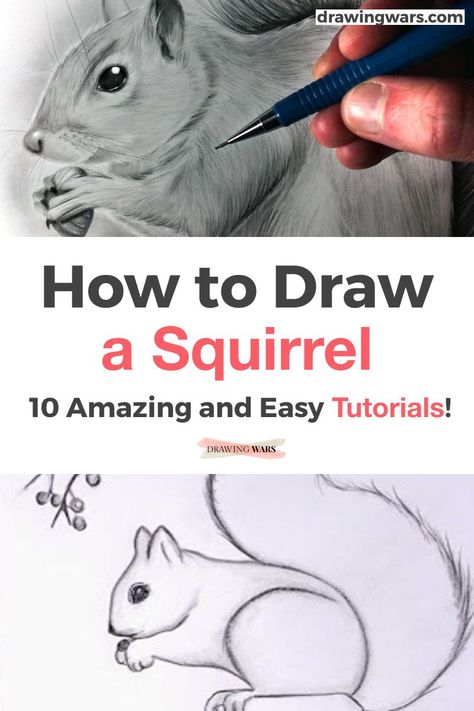 How to Paint a Squirrel Step by Step the easy way. Learn How to Paint a Squirrel Easy with the Best 10 Online Video Tutorials with Acrylic, Digital and many more techniques! How to Paint a Squirrel for Kids, How to Paint a Squirrel Step by Step and more! Painting Ideas on Canvas with Acrylic Paint, oil, pencil, watercolors, and many more painting techniques! Squirrel Drawings, Draw A Squirrel, Drawing A Squirrel, Drawing Of A Squirrel, How To Draw A Squirrel, Draw Squirrel Easy, Squirrel Drawing Easy, Squirrel Doodle, How To Draw A Squirrel Step By Step