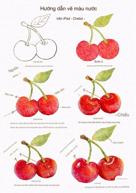 Fruits Painting Watercolor, Cherry Watercolor Painting, Cherry Watercolor, Cherry Drawing, Food Art Painting, Fruits Drawing, Flower Drawing Tutorials, Pastel Sec, Watercolor Food