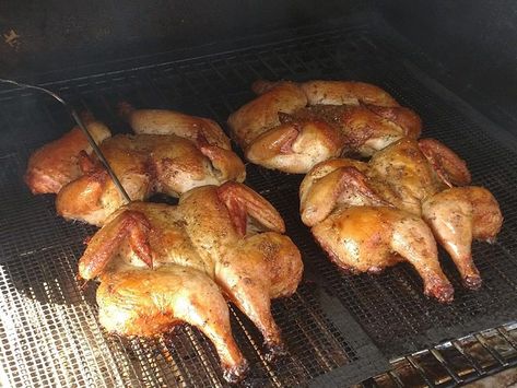 Smoked Cornish Hens, Grilled Cornish Hens, Wood Pellet Grill Recipes, Game Hen Recipes, Cornish Game Hen Recipes, Cornish Hen Recipe, Traeger Grill Recipes, Cornish Hen, Cornish Game Hen