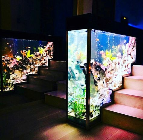 Fish Tank Wall, Fish Tank Themes, Wall Aquarium, Amazing Aquariums, Cool Fish Tanks, Fish Tank Design, Fresh Water Fish Tank, Home Aquarium, Cool Fish