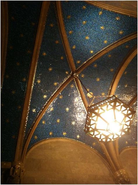 Celestial Ceilings, Constellation Ceiling, Starry Night Bedroom, Starry Ceiling, Beach House Aesthetic, Starry Starry Night, Star Ceiling, Ceiling Murals, Office Library