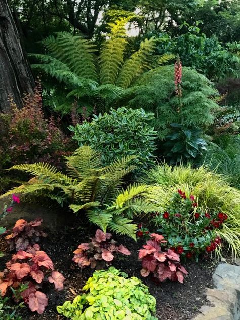 Pnw Gardening, Pnw Garden, English Garden