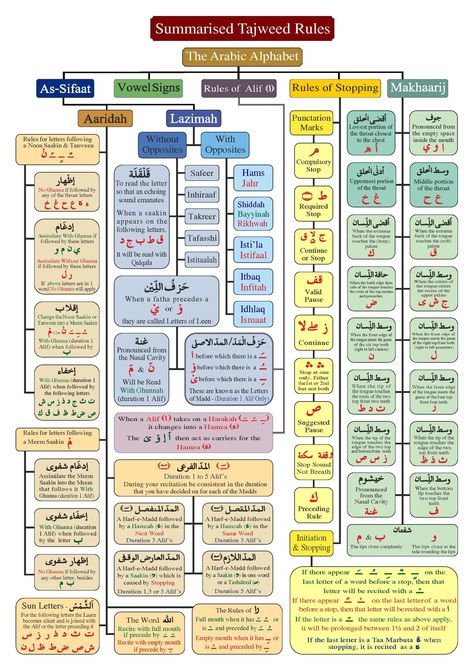 How To Read Quran, Tajweed Rules, Prophets In Islam, Islam Lesson, Quran Tafseer, Tajweed Quran, Learn Arabic Online, Organization Chart, Quran Hadith