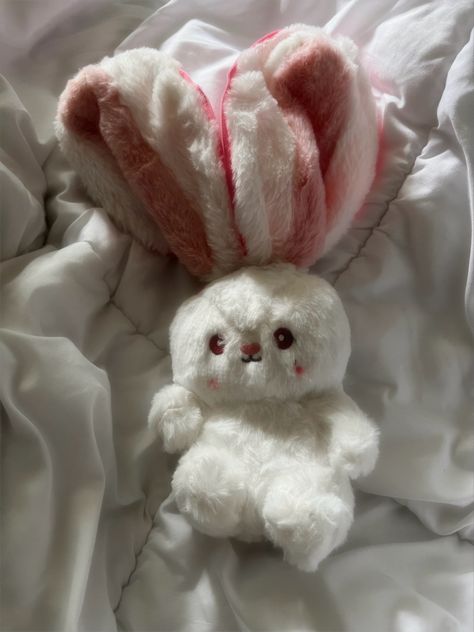 Strawberry Bunny Plush, Bunny Plush Aesthetic, Plush Toys Aesthetic, Bunny Plushies, Spring Drawing, Jellycat Stuffed Animals, Rabbit Soft Toy, Cute Squishies, Cute Stationary