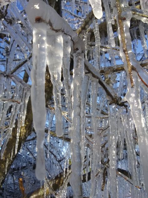 icicles *pretty🌨️ Ice Asethic, Icicles Aesthetic, Icicle Aesthetic, Dec Nails, Winter Gothic, Branches Of Trees, Concept Wardrobe, Realistic Dragon, Cottage Witch