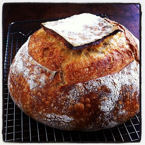 Made in a cast iron combo cooker, this bread could sustain my every food need with a little olive oil and salt. Tartine Bread, Dutch Oven Bread, A Loaf Of Bread, Country Bread, No Salt Recipes, Loaf Of Bread, Sourdough Baking, Our Daily Bread, Bread And Pastries