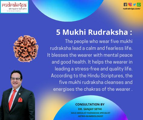 Rudraksha Benefits, Free Life Quotes, 5 Mukhi Rudraksha, Hindu Scriptures, Jyotish Astrology, Rudraksha Mala, The Chakras, The Hindu, Vedic Astrology