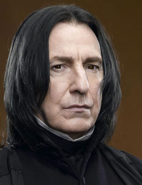 Rogue Harry Potter, Harry Potter Preferences, Harry Potter References, Harry Potter Castle, Alan Rickman Severus Snape, Harry Potter Severus Snape, Severus Rogue, Snape Harry Potter, Snape Harry