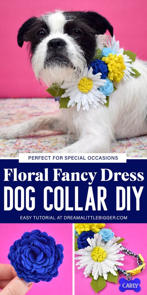 Dog Fancy Dress, Floral Fascinator, Floral Fascinators, Diy Dog Collar, Collars Diy, Flower Collar, Fancy Dog, Dog Projects, Handmade Pet