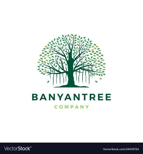 Banyan Tree Logo Design, Banyan Tree Illustration, Gardener Logo, Creek Logo, Tree Of Life Logo, Roots Drawing, House Logos, Logo Tree, Tree Abstract