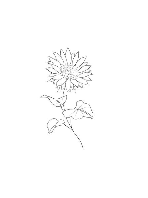 Sunflowers Line Art, Sunflower Fine Line Drawing, Cartoon Sunflower Tattoo, Tiny Sunflower Tattoo Simple, Sunflower Branding, Sunflower Line Tattoo, Minimal Sunflower Tattoo, Sunflower Fine Line Tattoo, Fineline Sunflower Tattoo