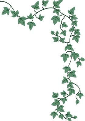 English Ivy Drawing, Vine Illustration Design, Ivy Drawing Vines, Vine Painting On Wall, Ivy Doodle, Drawing Vines, Ivy Painting, Vines Painting, Ivy Illustration