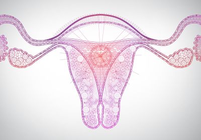 Cervical Mucus, Progesterone Levels, Female Reproductive System, In Vitro Fertilization, Thyroid Hormone, Hormone Levels, Fit Body, Stem Cells, 5 Things