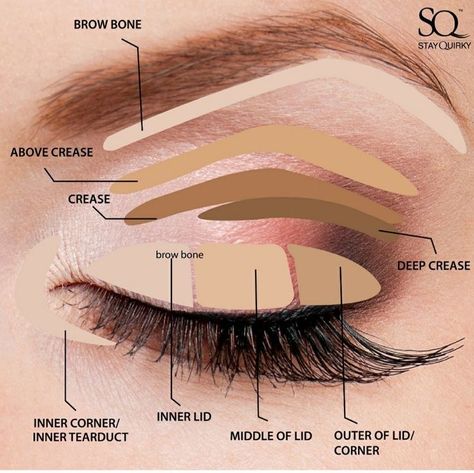 Makeup Mapping, Mua Tutorial, Makeup Theory, Face Makeup Guide, Kosmetyki Mary Kay, Eyebrow Makeup Tutorial, Mascara Application, Eyeshadow Tips, Makeup Order